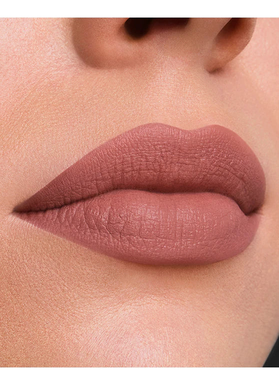 Estée Lauder 雅詩蘭黛 Pure Color 絨霧小金管唇膏 #816 Suit Up 3.5g