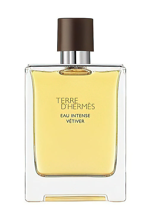 Hermes 愛馬仕 大地馥郁香根草濃香 100ml 白底產品圖